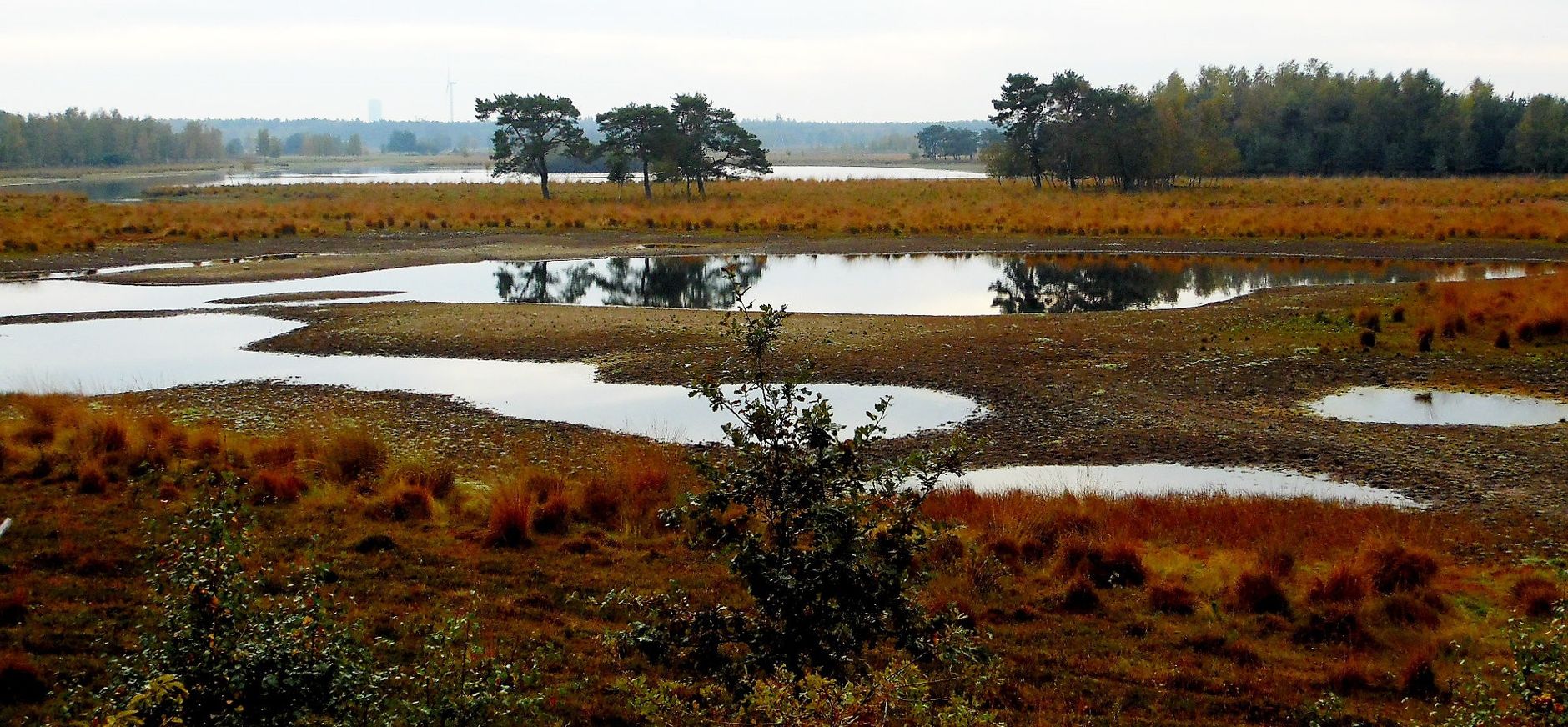 vennengebied huis ter heide