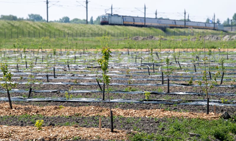 Voedselproductie in Schiebroekse Polder met Herenboeren