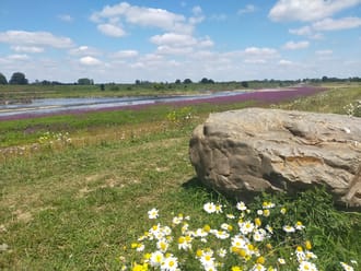Klauwenpad