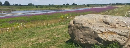Klauwenpad