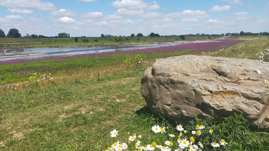 Klauwenpad