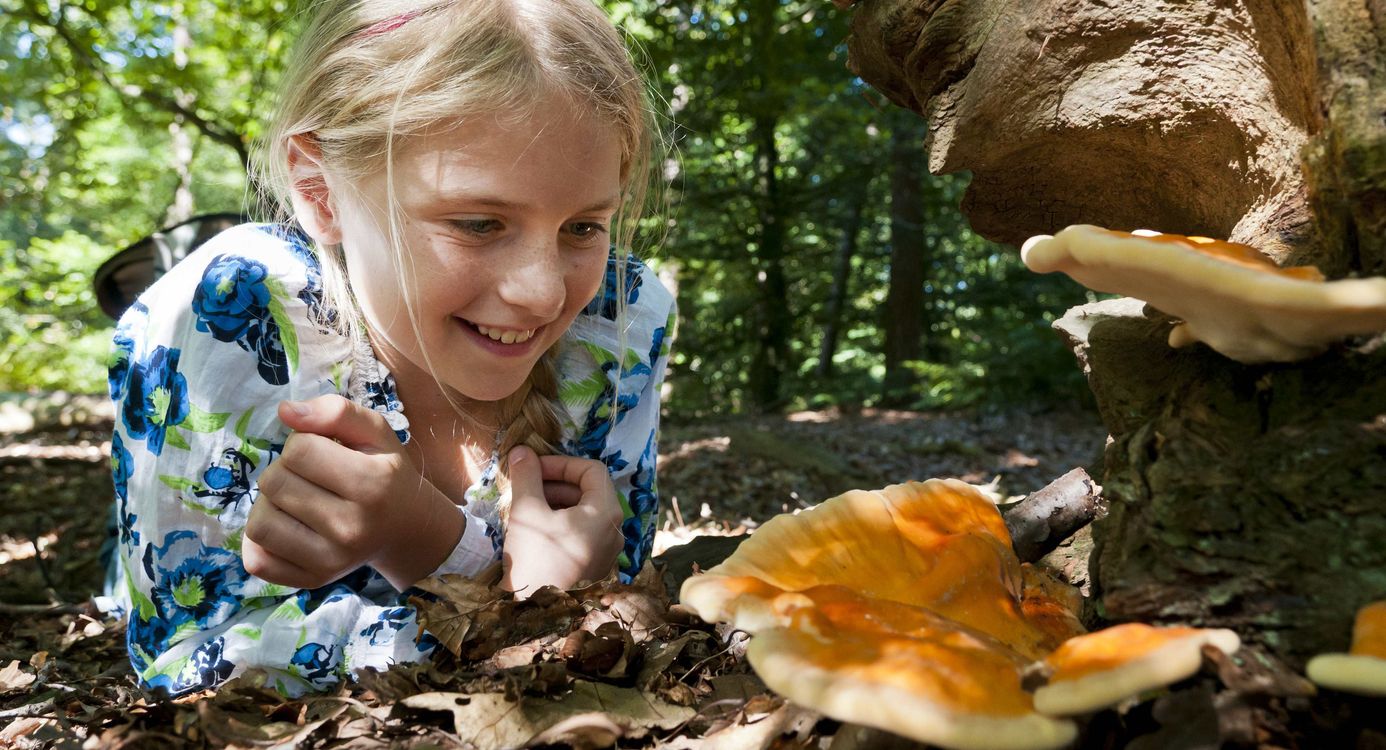 Kind bekijkt paddenstoel herfst
