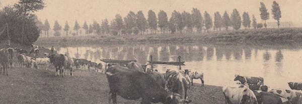 Vroegere vrijwilligershulp