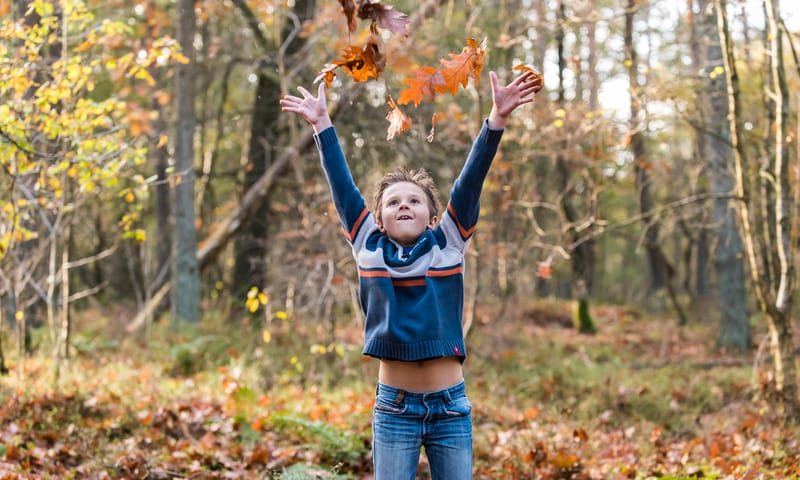 natuurbelevingstocht herfst 20