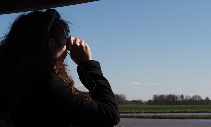 Ackerdijkse Plassen uitkijksilo