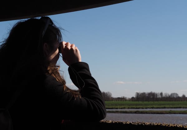 Ackerdijkse Plassen uitkijksilo