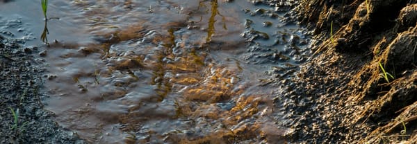 IJzerwater
