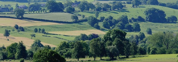Heuvellandschap