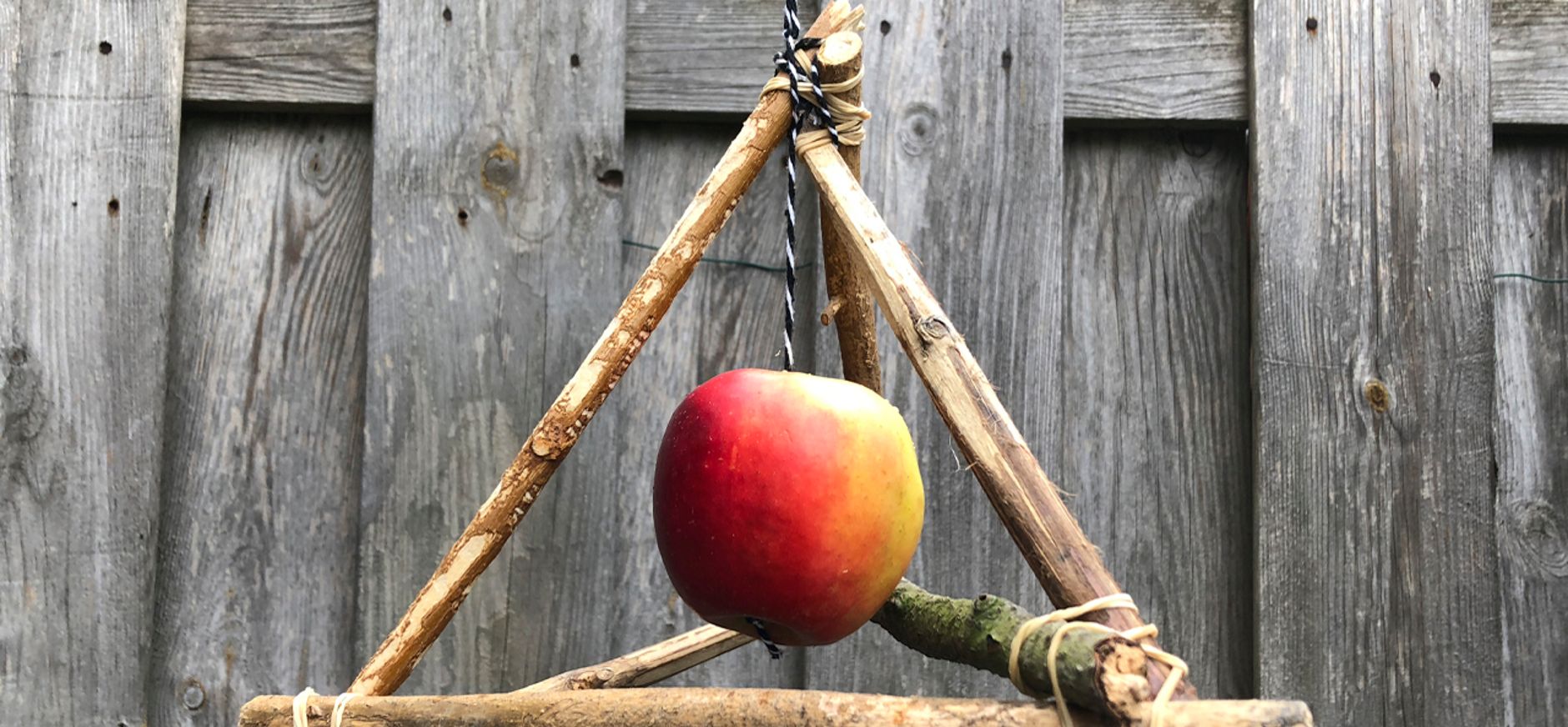 Appel voor vogels