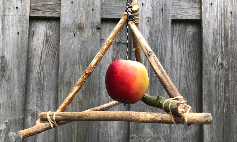 Appel voor vogels