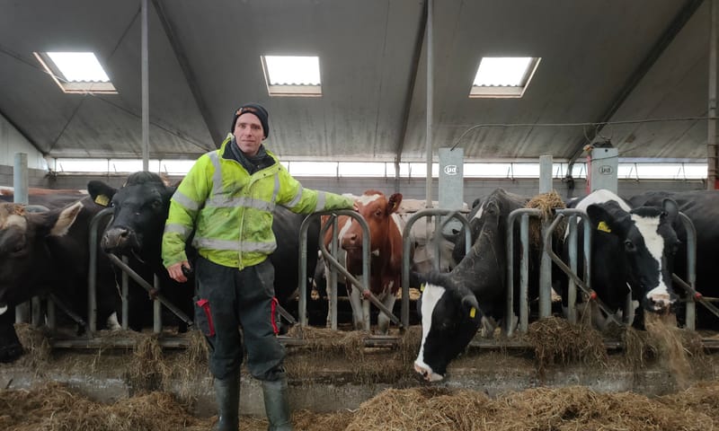 Adopteer een koe bij boer Dirk Gravesteyn