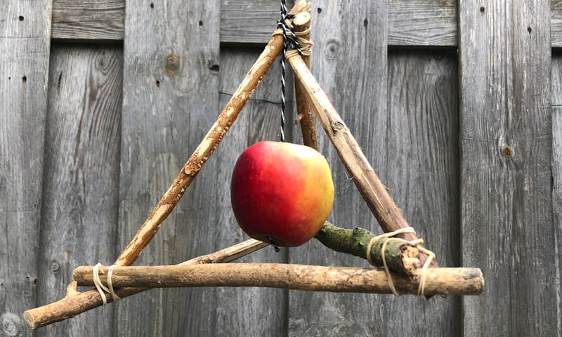 Appel voor vogels