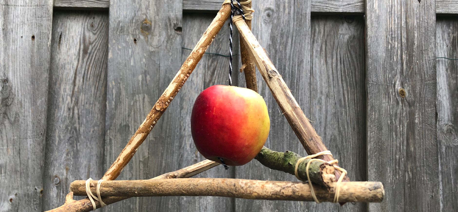 Appel voor vogels