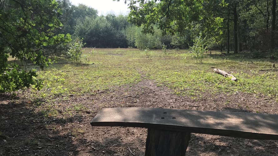 Fellenoord doorkijkje
