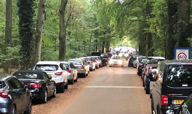 Geparkeerde auto's langs de Maarsbergseweg