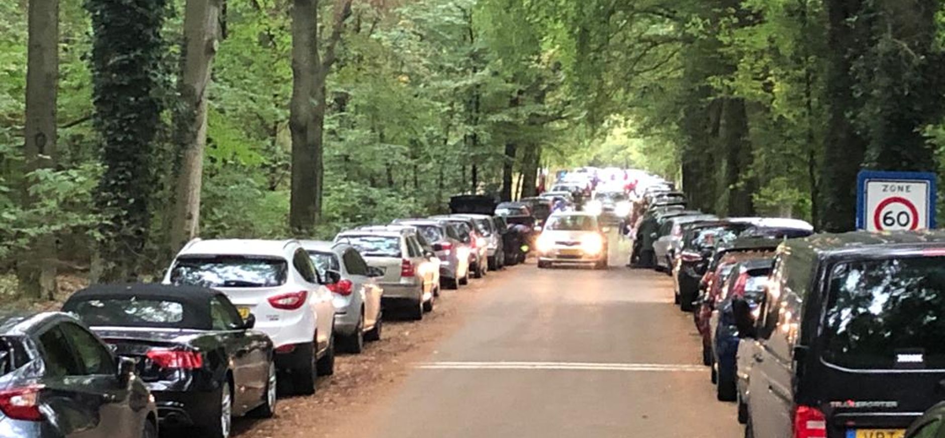 Geparkeerde auto's langs de Maarsbergseweg