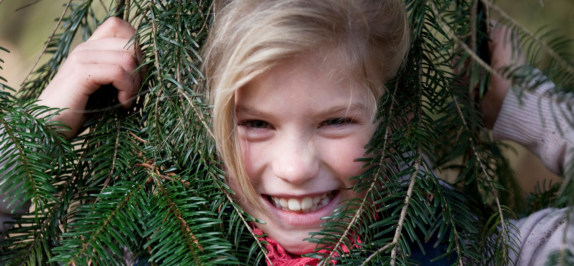 meisje tussen takken spar