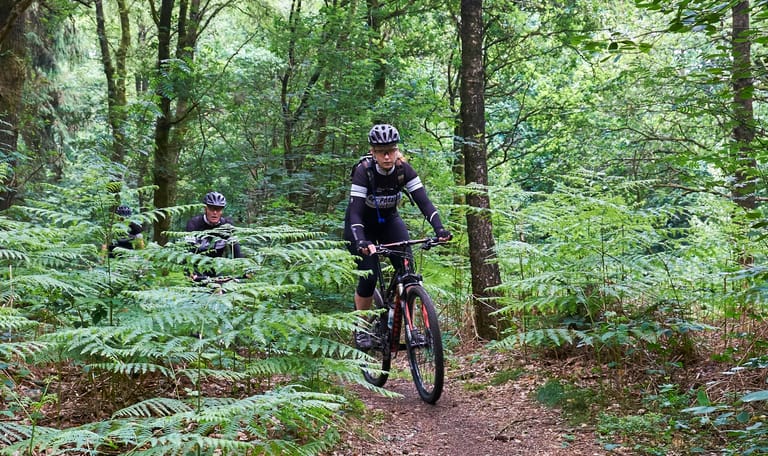 MTB bos