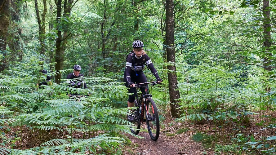 MTB bos