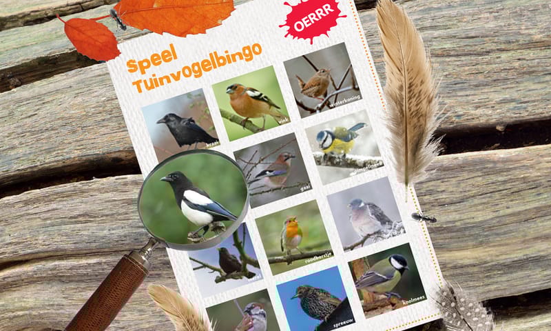 Tuinvogelbingo