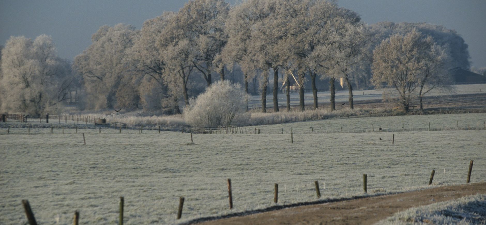 winter in twente