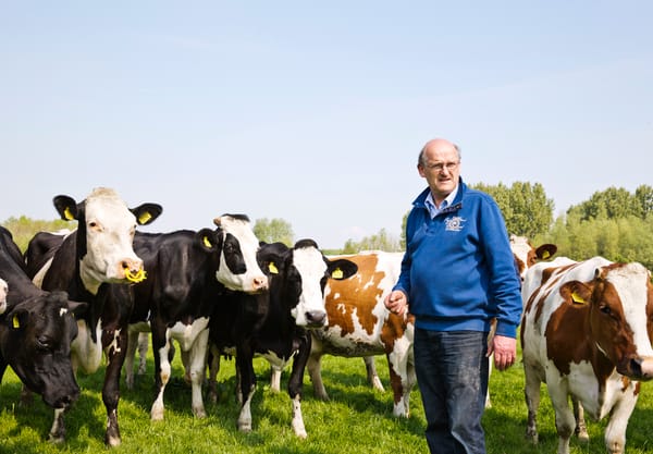 Arie van der Berg