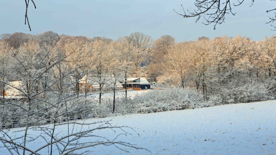 bezoekerscentrum veluwezoom winter