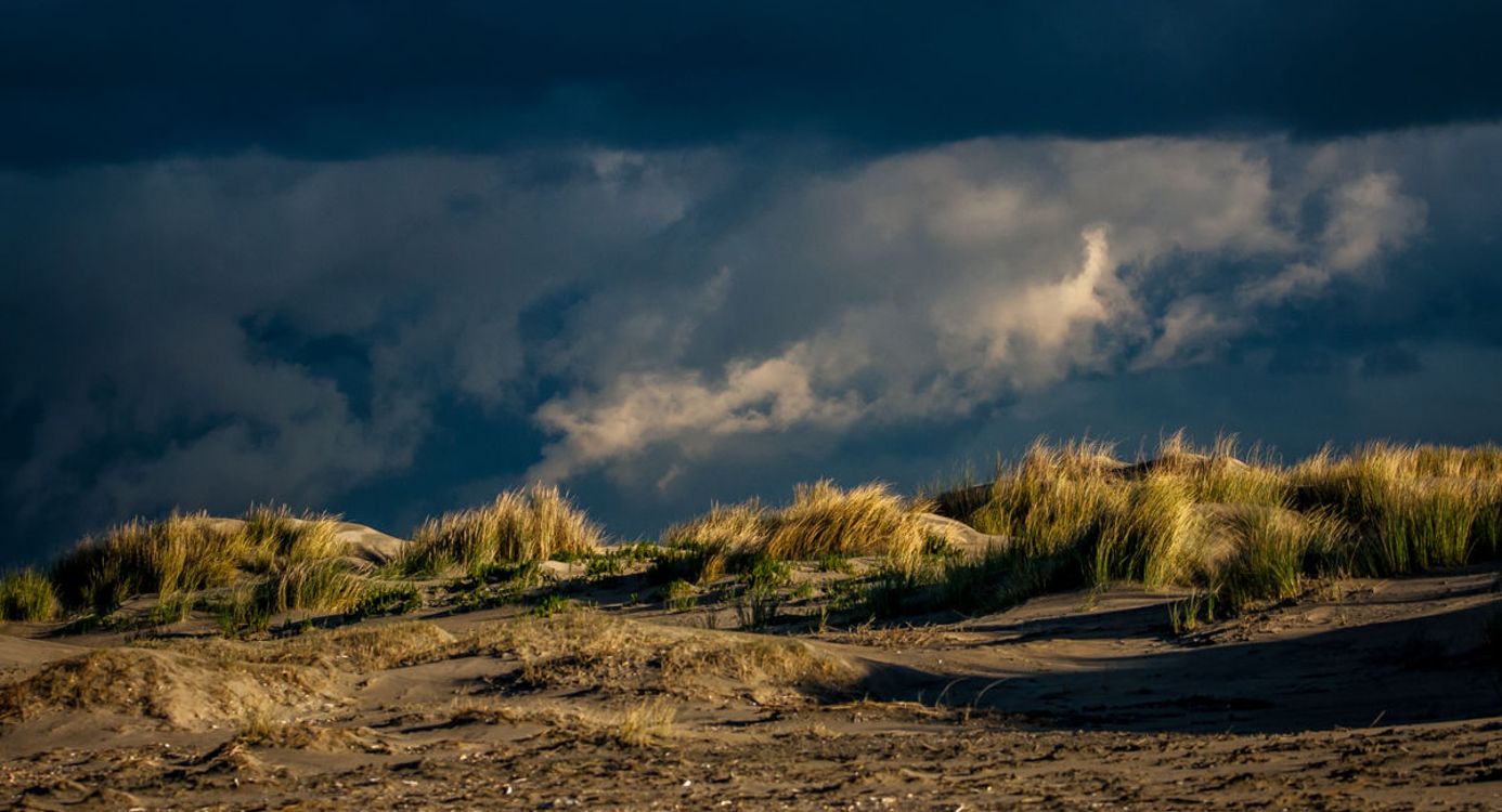 Proef de zilte zeelucht