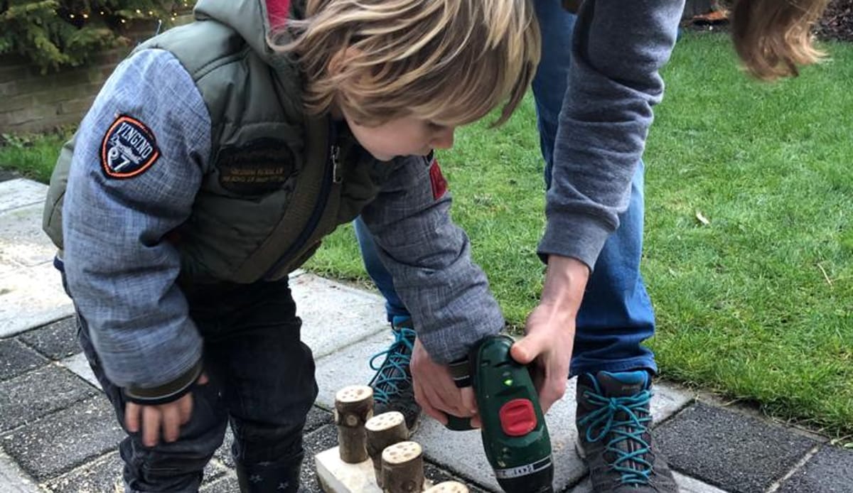 Maak zelf een insectenhotel voor bestuivers