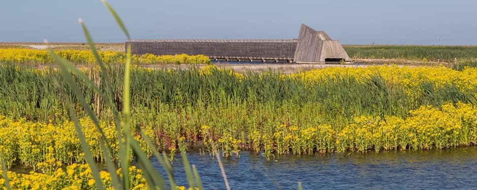 Natuurparadijs Marker Wadden