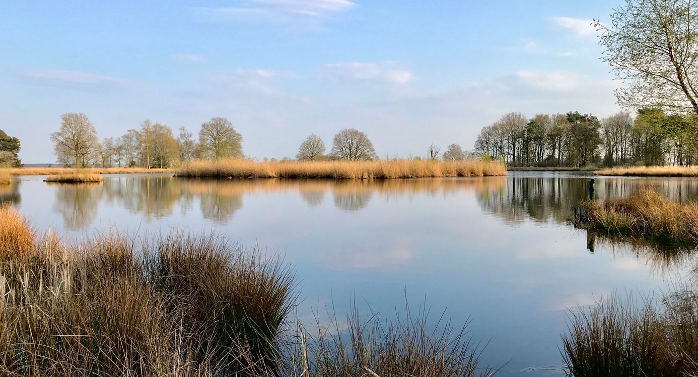 uitkijkhut Davidsplassen