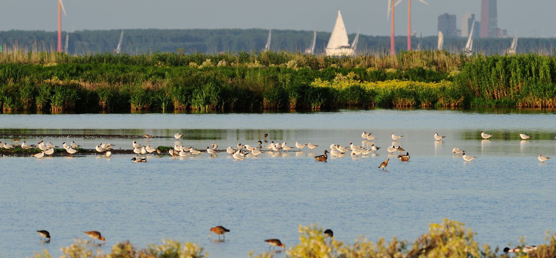 IJdoorn