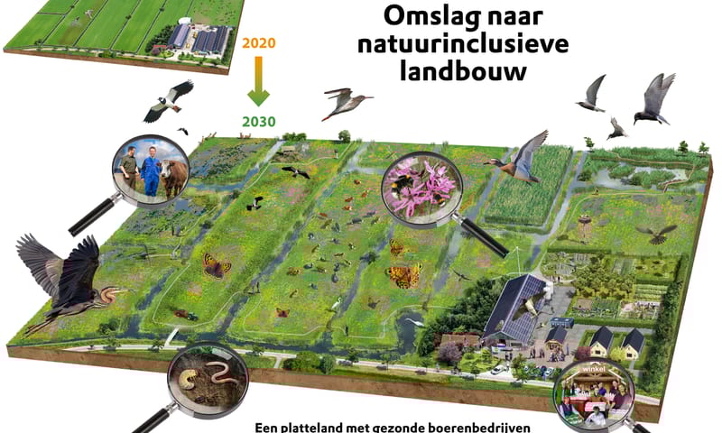 Visual Omslag natuurinclusieve landbouw