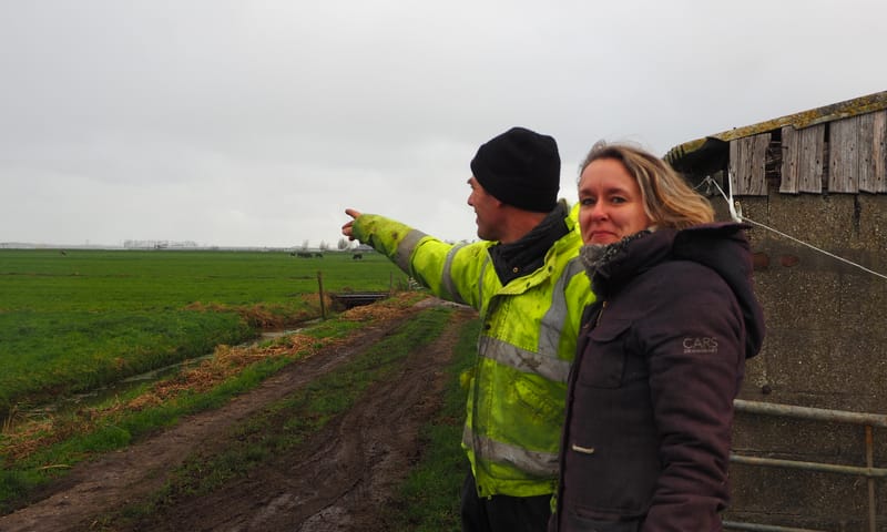 Boer Dirk en Isabella Gravesteyn, Rotterdams platteland