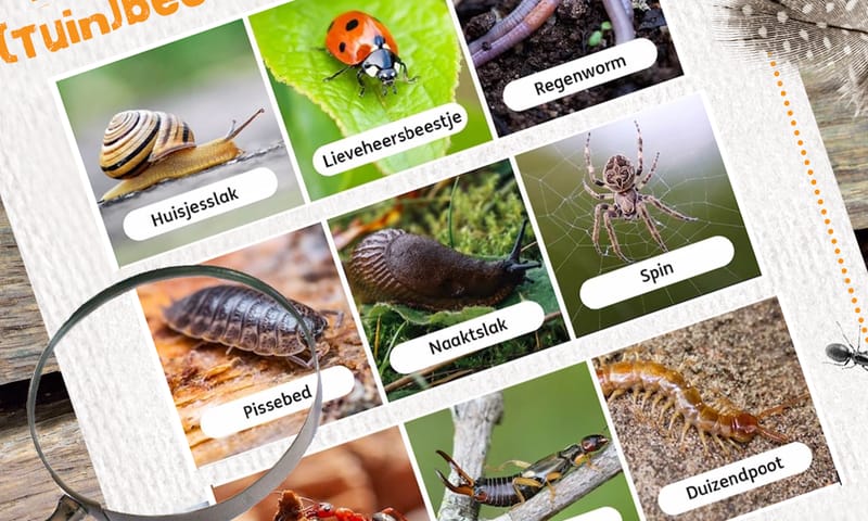 OERRR (Tuin)beestjesbingo