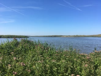 Zwanenwater Callantsoog