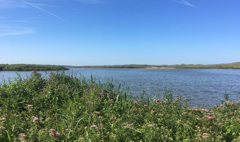 Zwanenwater Callantsoog