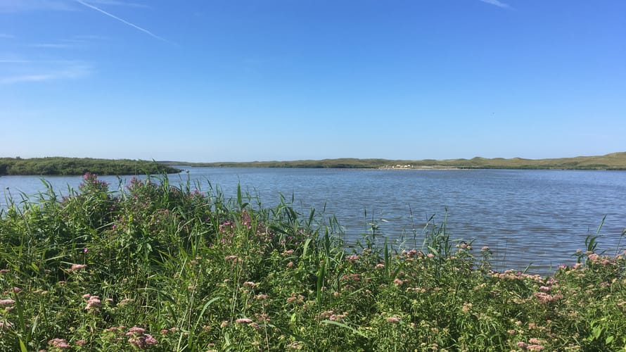 Zwanenwater Callantsoog