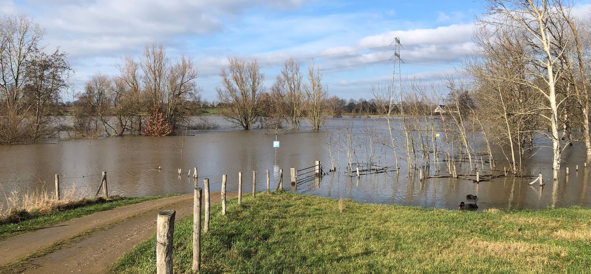 Hoogwater Grensmaas