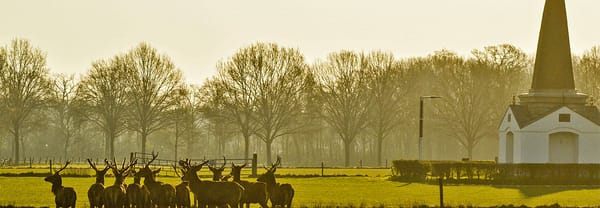 Edelherten bij Priesnitzmonument