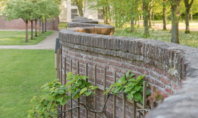Slangenmuur Beeckestijn