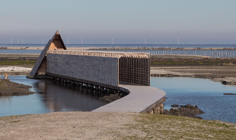 Vogelkijkhut Duikeend op Marker Wadden