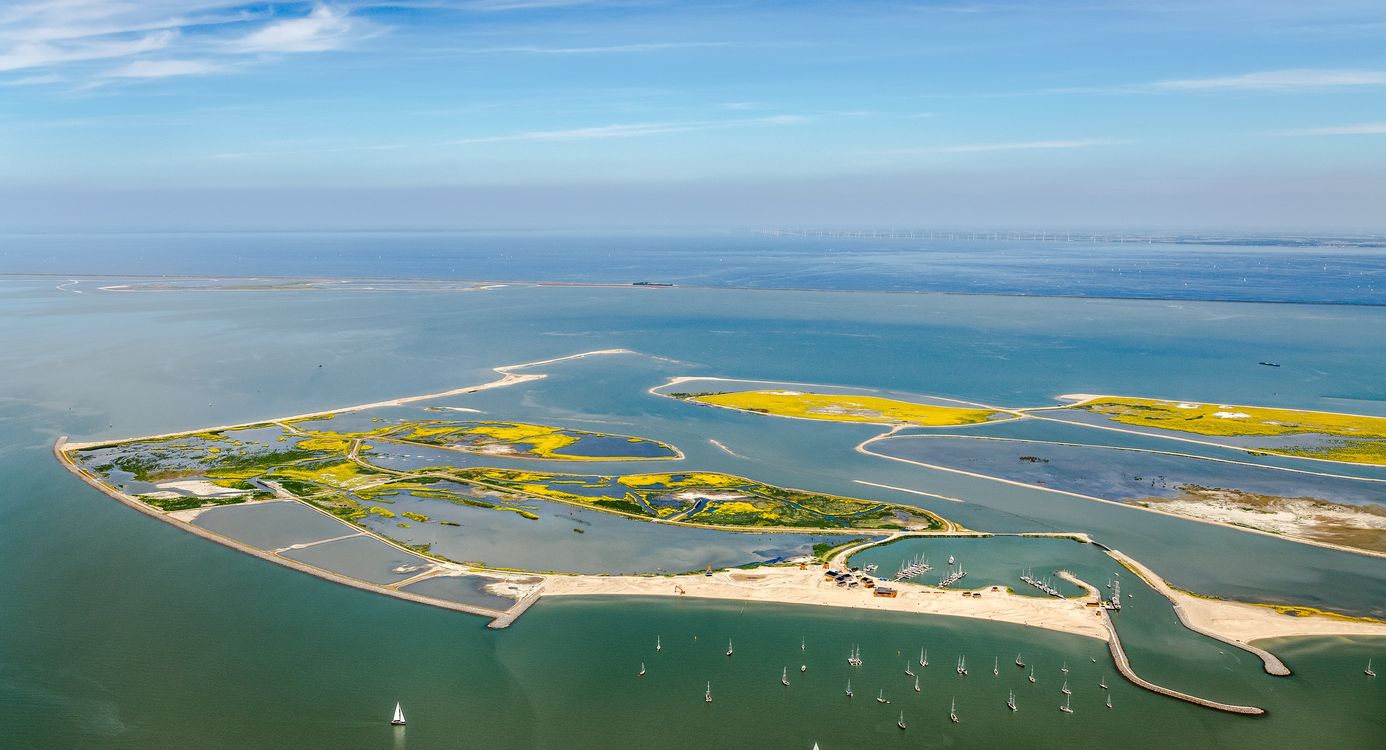 Marker Wadden natuureiland in het Markermeer