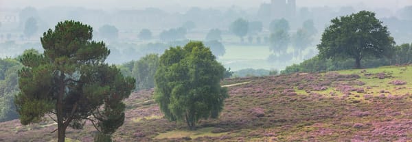 Uitzicht Mookerheide