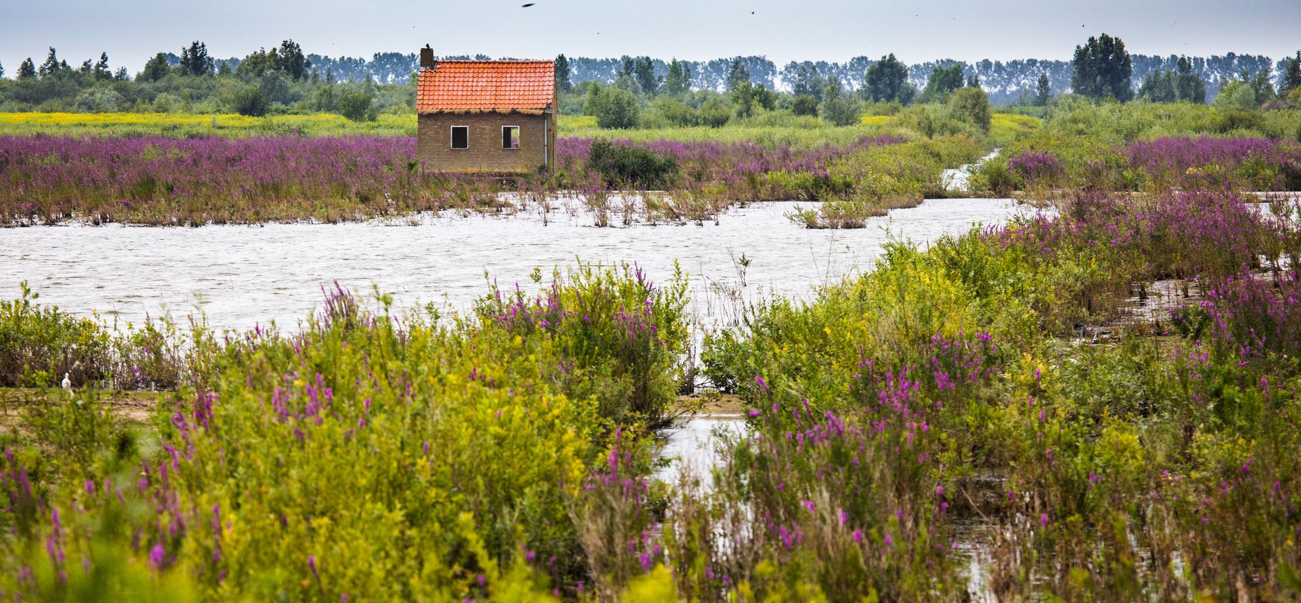 Typisch Tiengemeten