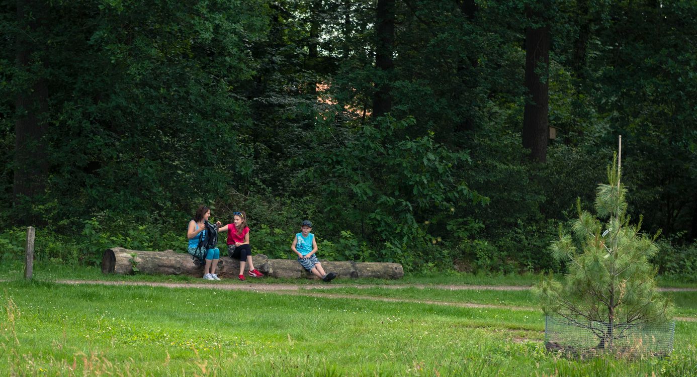 arboretum poort bulten