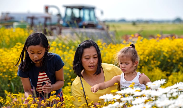 Gezin op bezoek bij de boer