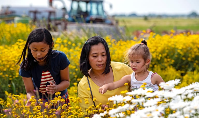 Gezin op bezoek bij de boer
