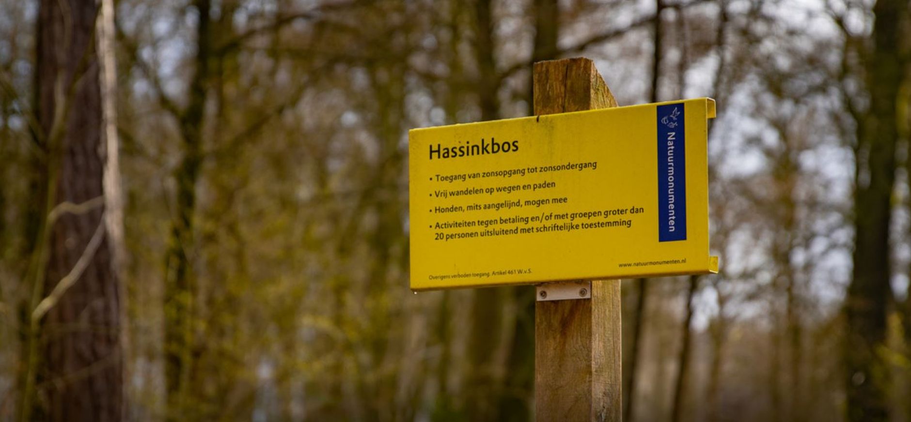 Hassinkbos bij Epse, Gorssel, Achterhoek