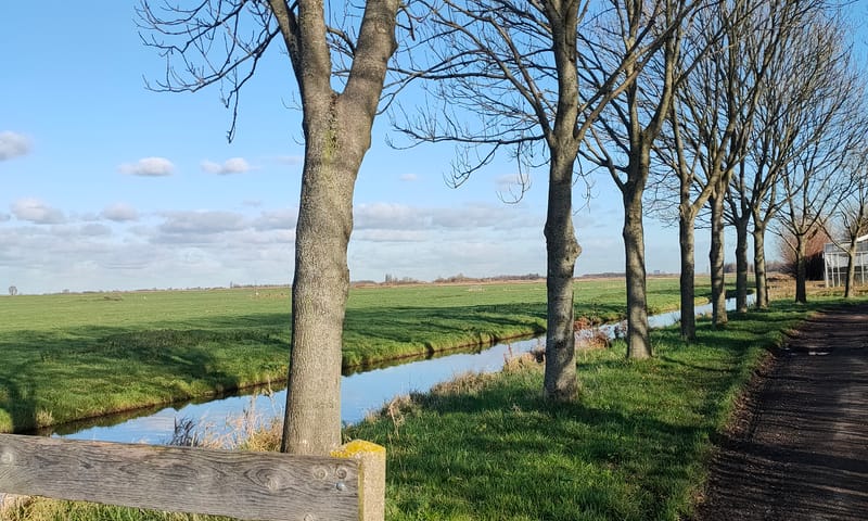 Toegangsweg naar boerderij Jeroen van der Kooij